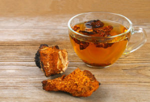 Chaga Tee kaufen