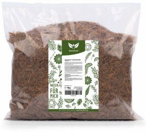 Lapacho Tee kaufen