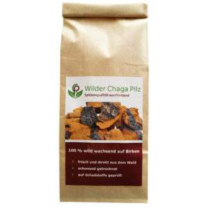 Chaga Pilz kaufen