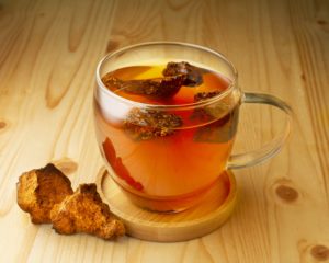 Chaga Pilz Schilddrüse